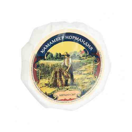Сыр Мягкий Камамбер Нормандия с Белой Плесенью 50% 125г арт. 100678708