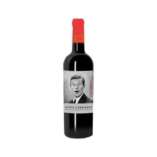 Вино Хенте Корриенте Темпранильо Ла Манча Красное Сухое 13% 0,75л арт. 101162973