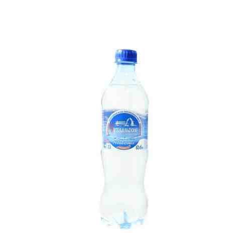 Вода питьевая прозрачная газ 0,6л арт. 100430471